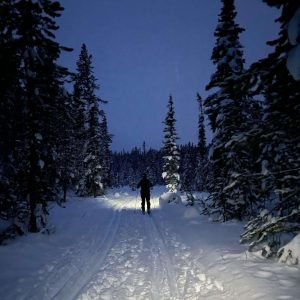 Winter Wise - 3 Part Series
