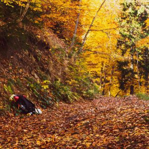 Sept. 25-27| 40hr WFA UPGRADE/RECERT inc. CAMPING!